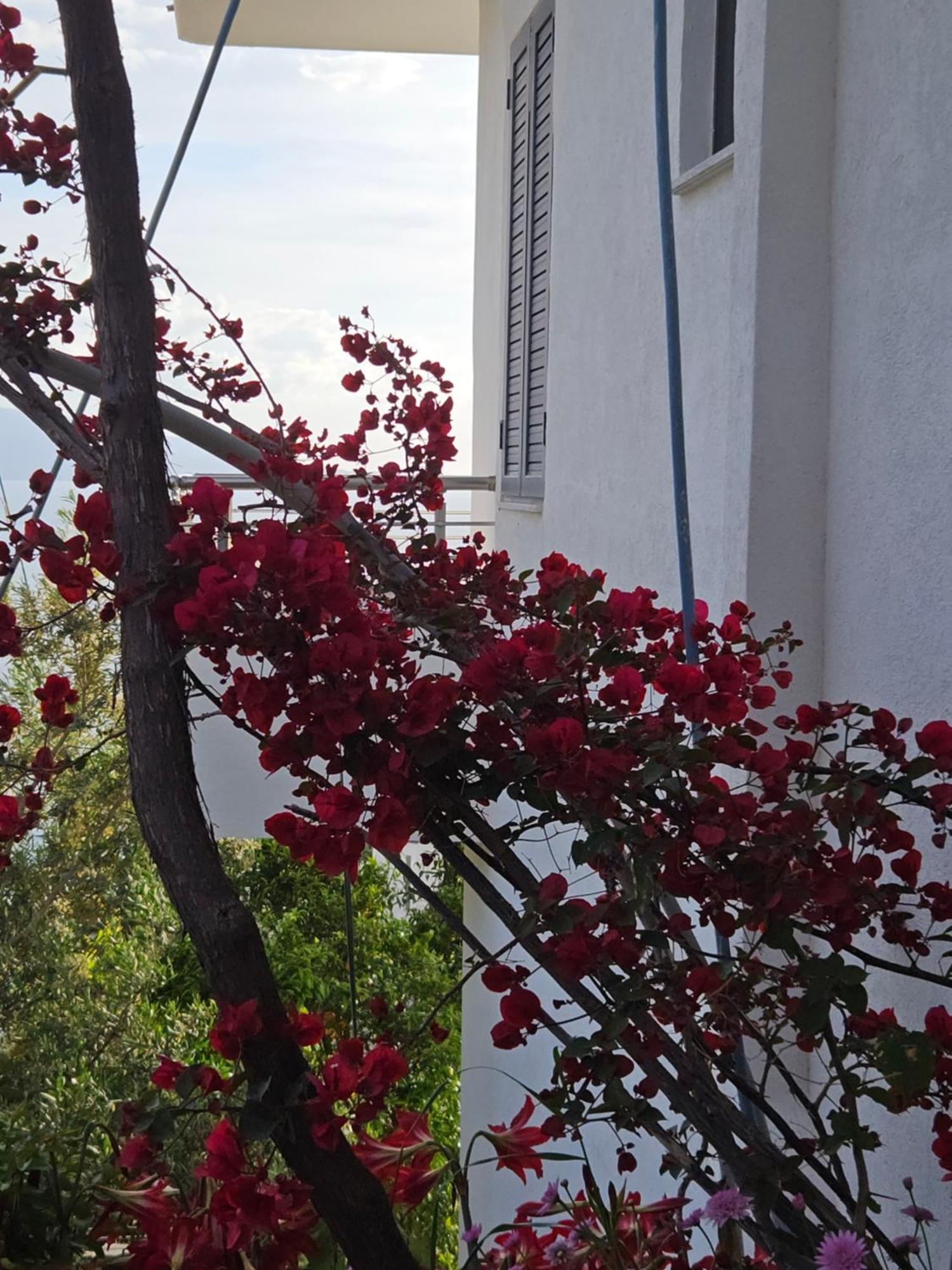 Nora'S Guesthouse Sarandë Eksteriør bilde