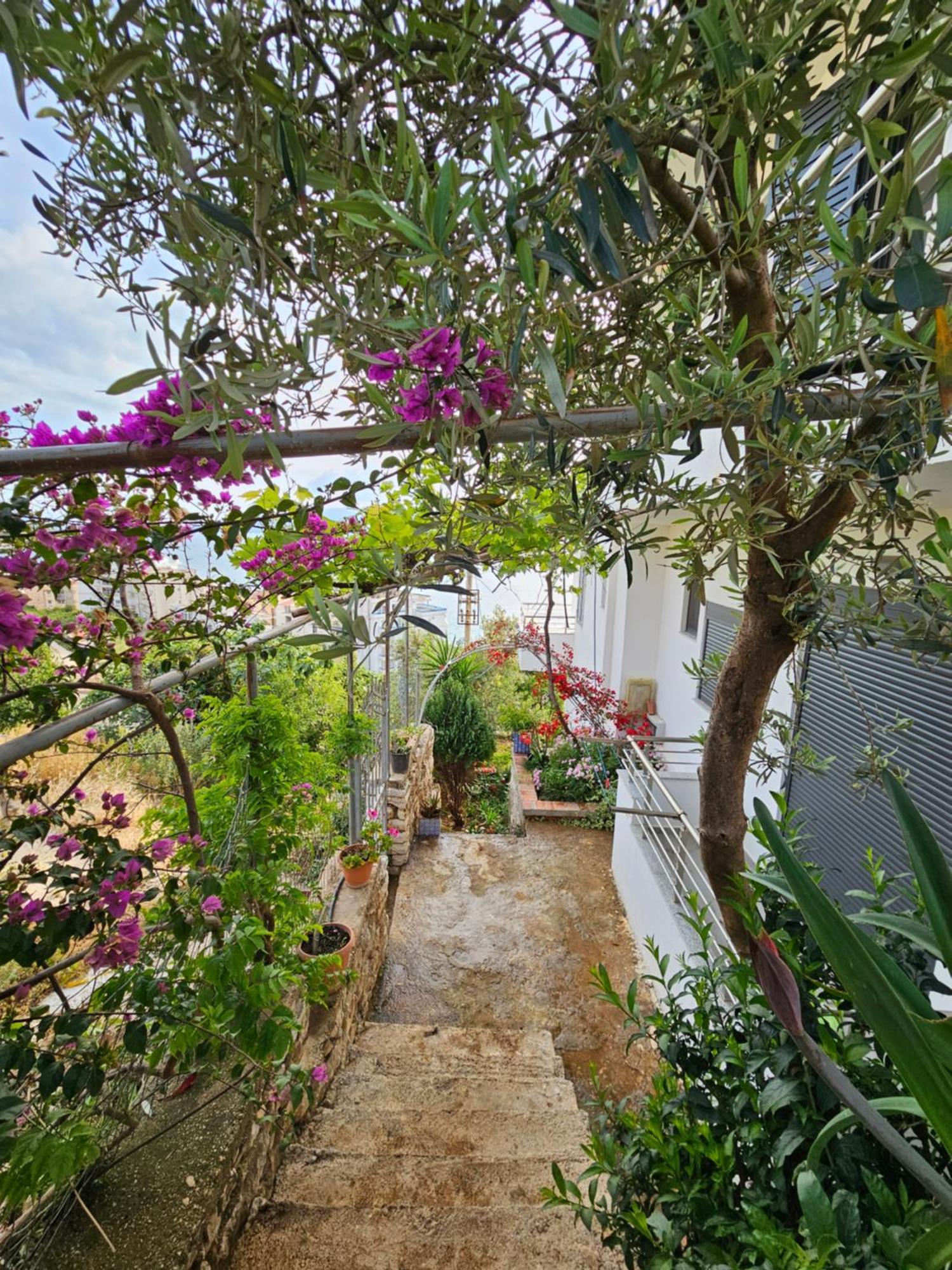Nora'S Guesthouse Sarandë Eksteriør bilde